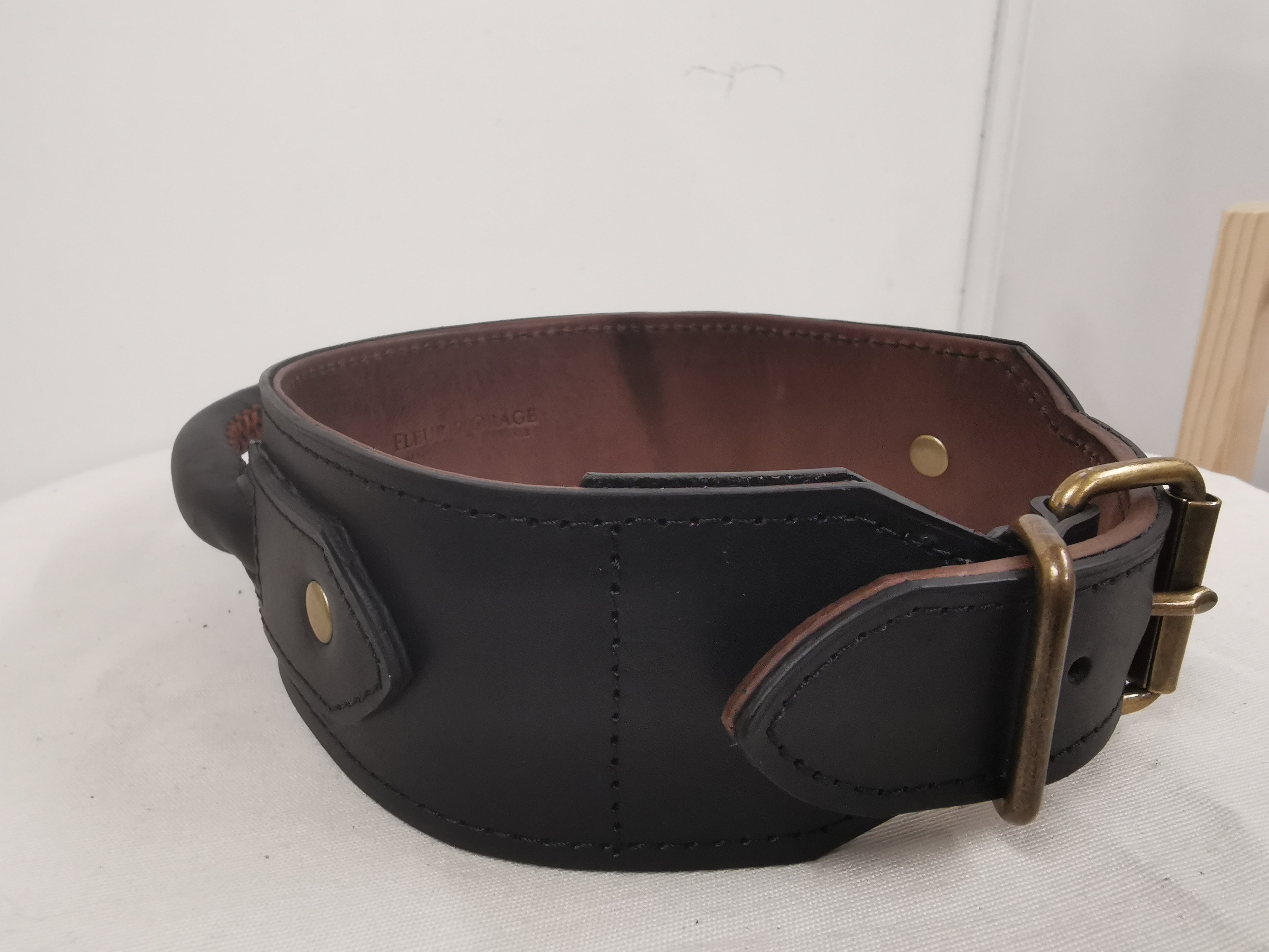Fleur d’Orage Collier chien cuir poignée 45/50cm entraînement