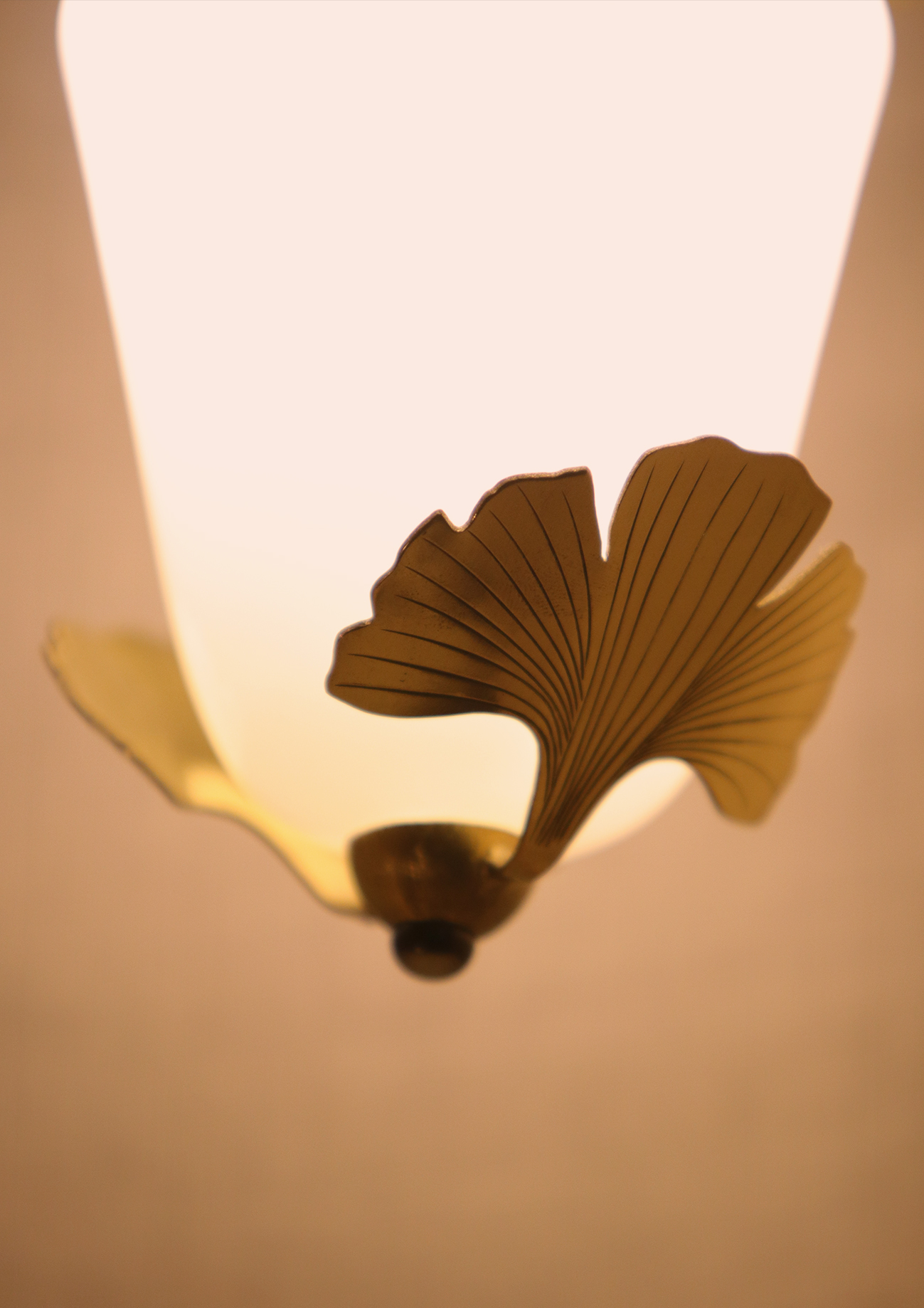 KIM JUDE Botanica Biloba suspension lumineuse laiton LED
