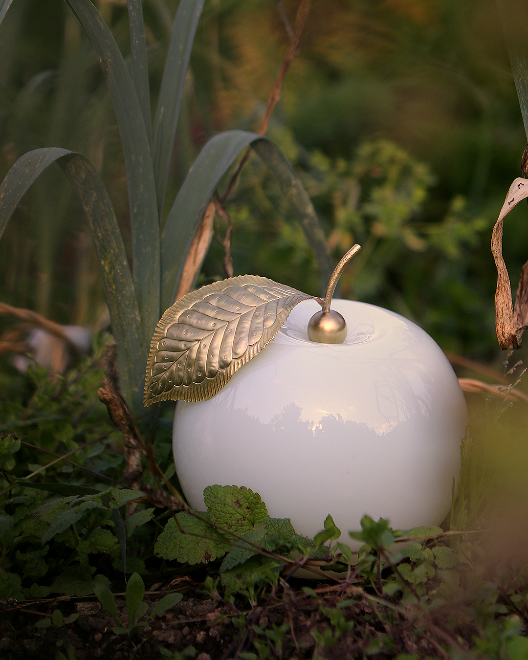 KIM JUDE Botanica Méla lampe série limitée